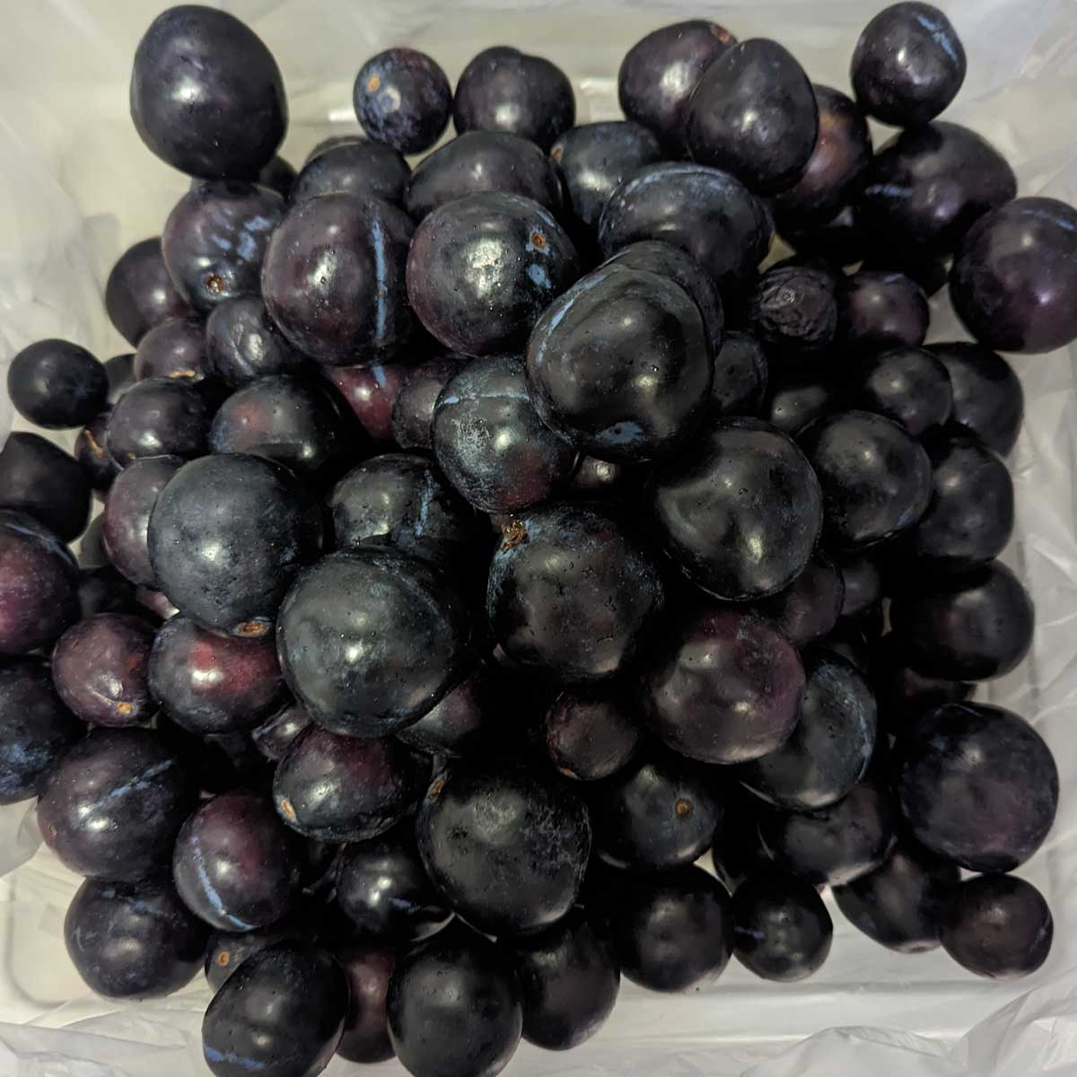 1kg x Organic Davidson Plum Fruit (Frozen)