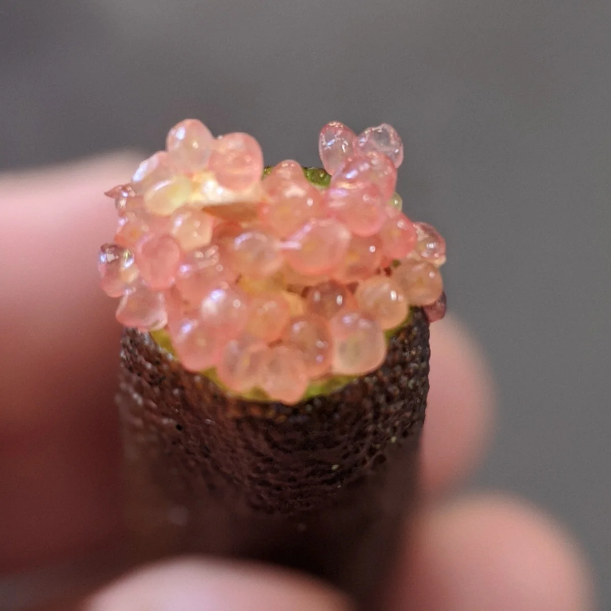Frozen Finger Lime Fruit (15kg)