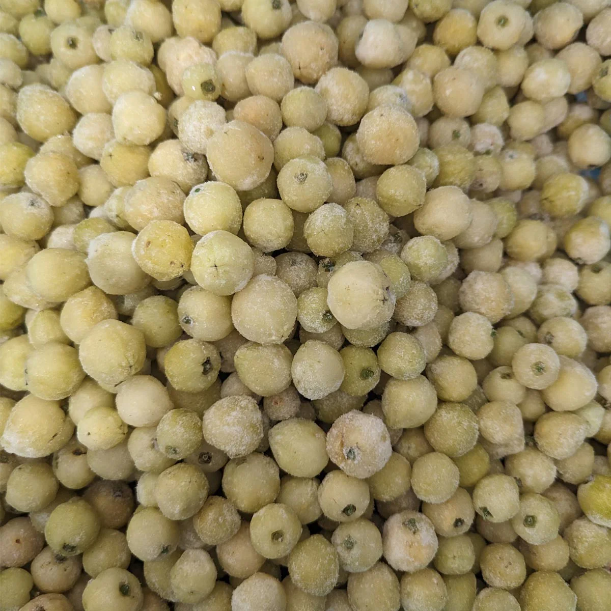 Frozen Lemon Aspen Fruit (1kg)
